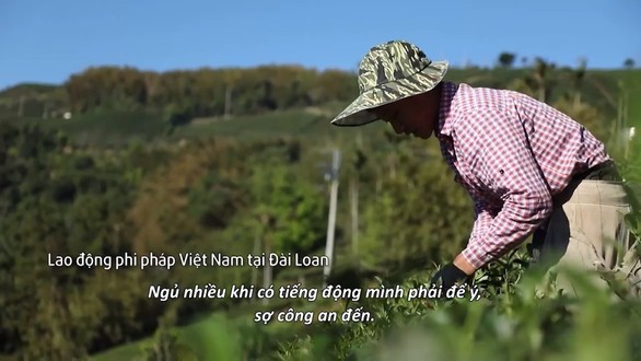 Miền đất hứa chuyện đau xót về người lao động Việt ở Đài Loan - Ảnh 2. Miền đất hứa chuyện đau xót về người lao động Việt ở Đài Loan - Ảnh 2.
