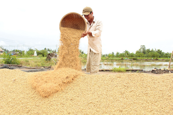 Giữ “bồ lúa” miền Tây phát triển - Ảnh 1. Giữ “bồ lúa” miền Tây phát triển - Ảnh 1.