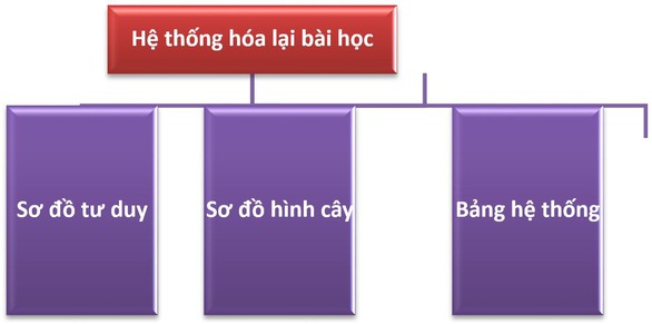 Thi trắc nghiệm môn Địa lý, ghi nhớ 5 nguyên tắc - Ảnh 3. Thi trắc nghiệm môn Địa lý, ghi nhớ 5 nguyên tắc - Ảnh 3.