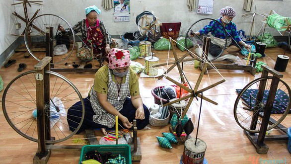 Hoàng gia Thái loại bỏ cây thuốc phiện như thế nào? - Ảnh 1. Hoàng gia Thái loại bỏ cây thuốc phiện như thế nào? - Ảnh 1.