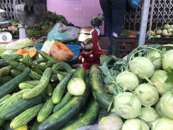 Chú mèo tên Chó hóa siêu anh hùng đi bán gà - Ảnh 3. Chú mèo tên Chó hóa siêu anh hùng đi bán gà - Ảnh 3.