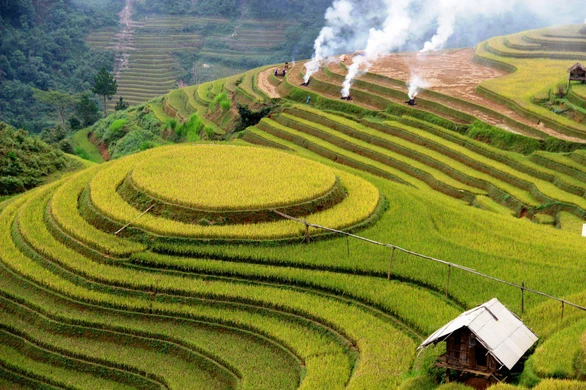 Ý kiến trái chiều về Mây pha lê trên đồi mâm xôi Mù Cang Chải - Ảnh 3. Ý kiến trái chiều về Mây pha lê trên đồi mâm xôi Mù Cang Chải - Ảnh 3.