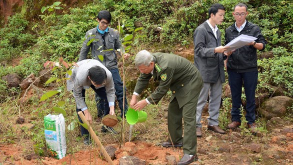 Sơn Trà - hòn ngọc luôn trong trạng thái... báo động - Ảnh 3. Sơn Trà - hòn ngọc luôn trong trạng thái... báo động - Ảnh 3.