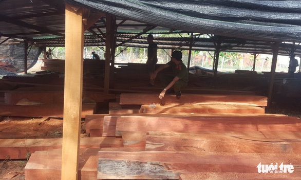 Phượng ‘râu’ gom gỗ quý chuẩn bị làm biệt thự khủng - Ảnh 1. Phượng ‘râu’ gom gỗ quý chuẩn bị làm biệt thự khủng - Ảnh 1.