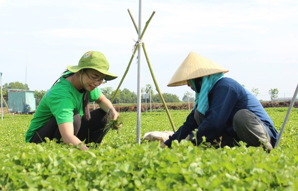 Hai bạn trẻ khởi nghiệp với bột rau từ nguyên liệu sạch - Ảnh 1. Hai bạn trẻ khởi nghiệp với bột rau từ nguyên liệu sạch - Ảnh 1.