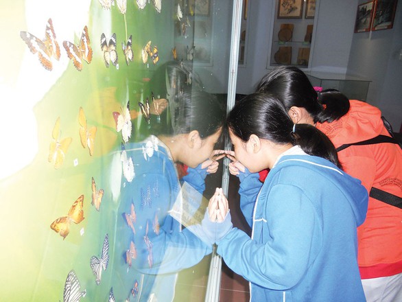 Ngày hè của trẻ ở bảo tàng, miền quê - Ảnh 1. Ngày hè của trẻ ở bảo tàng, miền quê - Ảnh 1.