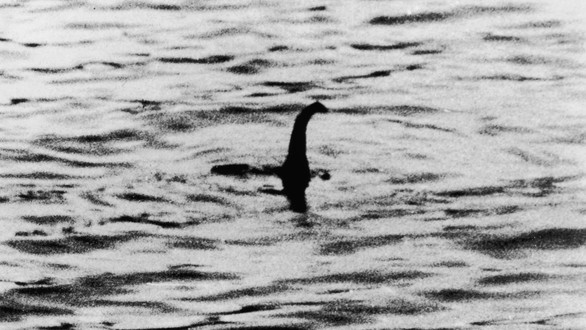 Quái vật hồ Loch Ness chỉ là một con cá da trơn cỡ lớn? - Ảnh 1. Quái vật hồ Loch Ness chỉ là một con cá da trơn cỡ lớn? - Ảnh 1.