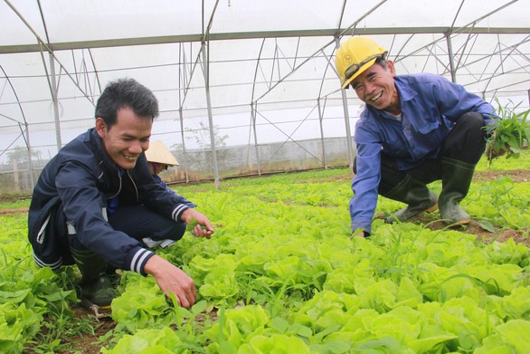 Trồng rau sạch, sống khỏe ở miền Trung - Ảnh 1. Trồng rau sạch, sống khỏe ở miền Trung - Ảnh 1.