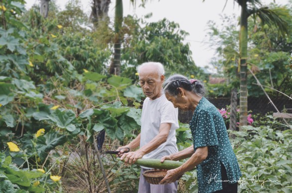Ngày gia đình Việt Nam: ngỡ ngàng bộ ảnh Ông bà anh - Ảnh 5. Ngày gia đình Việt Nam: ngỡ ngàng bộ ảnh Ông bà anh - Ảnh 5.