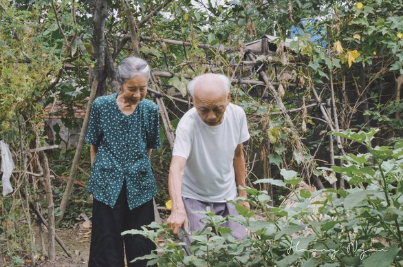 Ngày gia đình Việt Nam: ngỡ ngàng bộ ảnh Ông bà anh - Ảnh 4. Ngày gia đình Việt Nam: ngỡ ngàng bộ ảnh Ông bà anh - Ảnh 4.