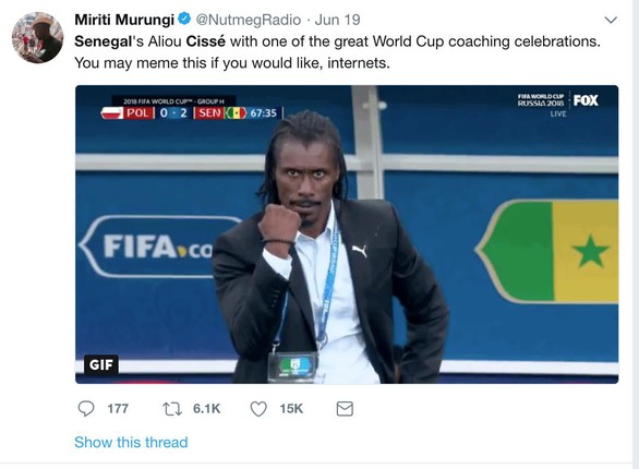 Cisse - HLV đẹp lạ cùng 4 cái nhất tại World Cup 2018 - Ảnh 8. Cisse - HLV đẹp lạ cùng 4 cái nhất tại World Cup 2018 - Ảnh 8.