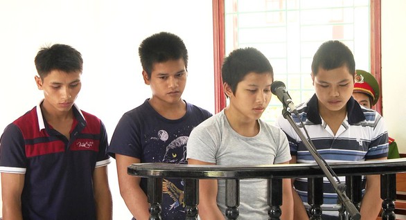Siêu trộm sâm hoành hành trên đỉnh Ngọc Linh - Ảnh 3. Siêu trộm sâm hoành hành trên đỉnh Ngọc Linh - Ảnh 3.
