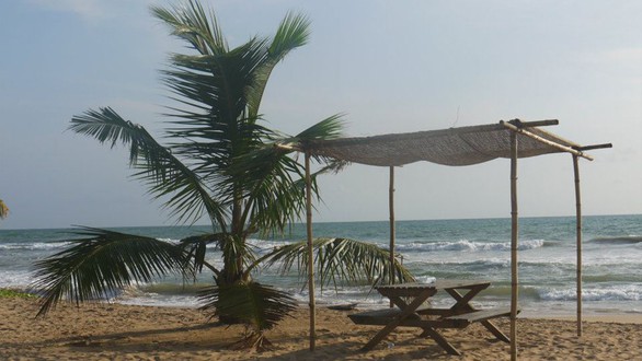 Đi Sri Lanka, Indonesia học bảo tồn rùa biển - Ảnh 11. Đi Sri Lanka, Indonesia học bảo tồn rùa biển - Ảnh 11.