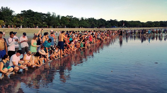 Đi Sri Lanka, Indonesia học bảo tồn rùa biển - Ảnh 7. Đi Sri Lanka, Indonesia học bảo tồn rùa biển - Ảnh 7.