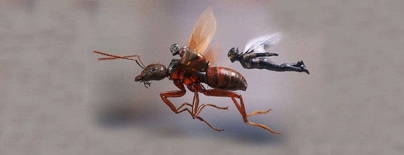 Vượt 17 tỉ đô-la, Marvel kiếm nhiều tiền nhất trong lịch sử điện ảnh - Ảnh 4. Vượt 17 tỉ đô-la, Marvel kiếm nhiều tiền nhất trong lịch sử điện ảnh - Ảnh 4.
