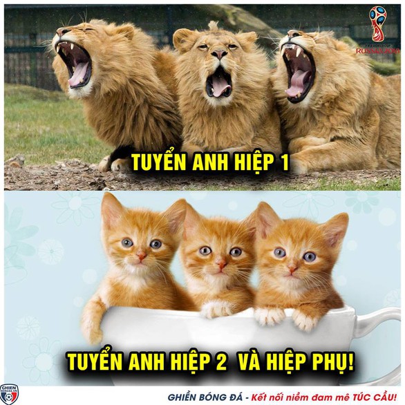 Một nửa thế giới hả hê trước sự ra đi của tuyển Anh - Ảnh 3. Một nửa thế giới hả hê trước sự ra đi của tuyển Anh - Ảnh 3.