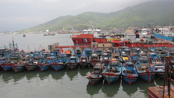 Thọ Quang - quả bom thối giữa lòng đô thị - Ảnh 3. Thọ Quang - quả bom thối giữa lòng đô thị - Ảnh 3.