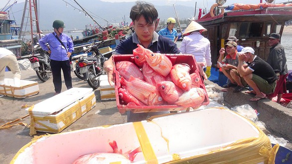 Thọ Quang - quả bom thối giữa lòng đô thị - Ảnh 4. Thọ Quang - quả bom thối giữa lòng đô thị - Ảnh 4.
