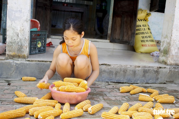 Hai cô cậu học trò ráng viết tiếp ước mơ của ba - Ảnh 2. Hai cô cậu học trò ráng viết tiếp ước mơ của ba - Ảnh 2.