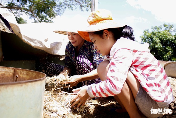 Hai cô cậu học trò ráng viết tiếp ước mơ của ba - Ảnh 3. Hai cô cậu học trò ráng viết tiếp ước mơ của ba - Ảnh 3.