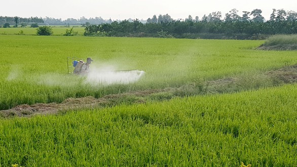 Nông nghiệp nghiện thuốc và hóa chất - Ảnh 1. Nông nghiệp nghiện thuốc và hóa chất - Ảnh 1.