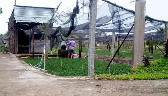 Nông nghiệp nghiện thuốc và hóa chất - Ảnh 2. Nông nghiệp nghiện thuốc và hóa chất - Ảnh 2.