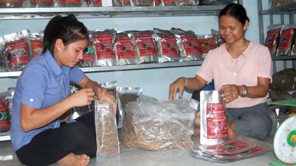 Nữ doanh nhân Ca Dong - Ảnh 1. Nữ doanh nhân Ca Dong - Ảnh 1.