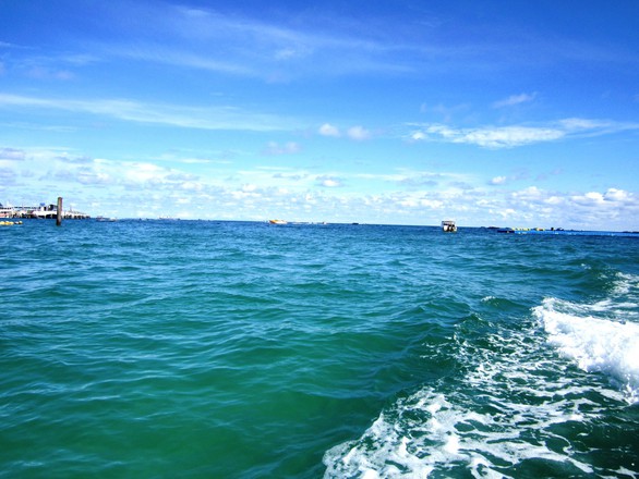 Đến đảo Koh Coral tắm biển và ăn hải sản - Ảnh 5. Đến đảo Koh Coral tắm biển và ăn hải sản - Ảnh 5.