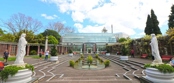 10 trải nghiệm miễn phí ở Auckland (phần 2) - Ảnh 8. 10 trải nghiệm miễn phí ở Auckland (phần 2) - Ảnh 8.
