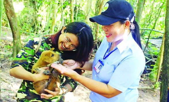 Tuấn Chó và hành trình gian nan bảo tồn chó xoáy Phú Quốc - Ảnh 3. Tuấn Chó và hành trình gian nan bảo tồn chó xoáy Phú Quốc - Ảnh 3.