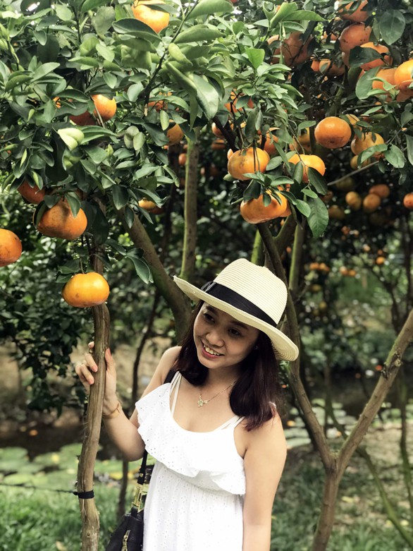 Gần Tết đi thăm làng quýt hồng Lai Vung - Ảnh 8. Gần Tết đi thăm làng quýt hồng Lai Vung - Ảnh 8.
