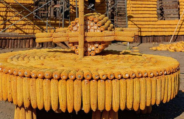 Ngôi nhà xây từ 20.000 bắp ngô - Ảnh 4. Ngôi nhà xây từ 20.000 bắp ngô - Ảnh 4.