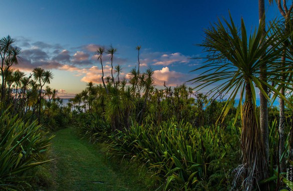 10 trải nghiệm miễn phí ở Auckland (phần 2) - Ảnh 3. 10 trải nghiệm miễn phí ở Auckland (phần 2) - Ảnh 3.