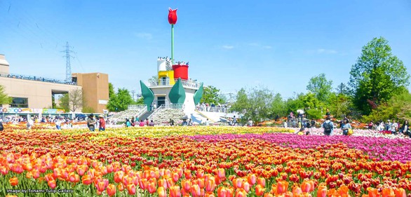 Cung điện hoa tulip rực rỡ ở Nhật Bản - Ảnh 8. Cung điện hoa tulip rực rỡ ở Nhật Bản - Ảnh 8.