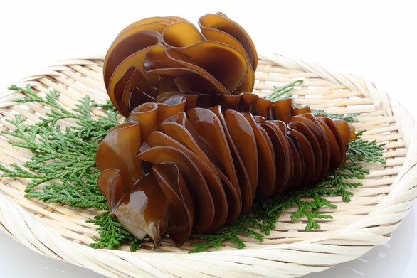 Ứng dụng rong biển hỗ trợ làm giảm nguy cơ u bướu - Ảnh 2. Ứng dụng rong biển hỗ trợ làm giảm nguy cơ u bướu - Ảnh 2.