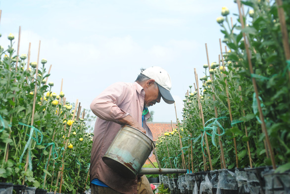 Làng hoa lớn nhất miền Tây chính thức thu phí tham quan 20.000 đồng - Ảnh 4. Làng hoa lớn nhất miền Tây chính thức thu phí tham quan 20.000 đồng - Ảnh 4.