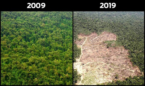 #10yearschallenge: Thiên nhiên đã mất đi thế nào trong 10 năm qua? - Ảnh 5. #10yearschallenge: Thiên nhiên đã mất đi thế nào trong 10 năm qua? - Ảnh 5.
