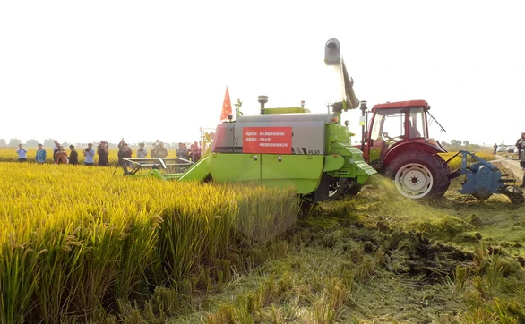 Máy gặt đập không người lái sẽ thay thế nông dân? - Ảnh 1.