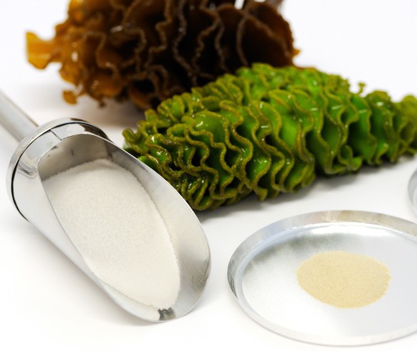 Những bệnh ung thư có thể phòng ngừa nhờ rong nâu - Ảnh 1. Những bệnh ung thư có thể phòng ngừa nhờ rong nâu - Ảnh 1.