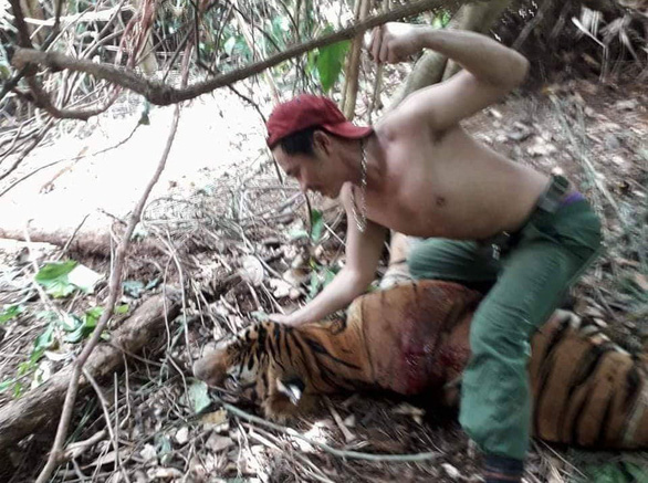 Thái Lan bắt  2 người Việt nghi săn trộm hổ quý - Ảnh 1.