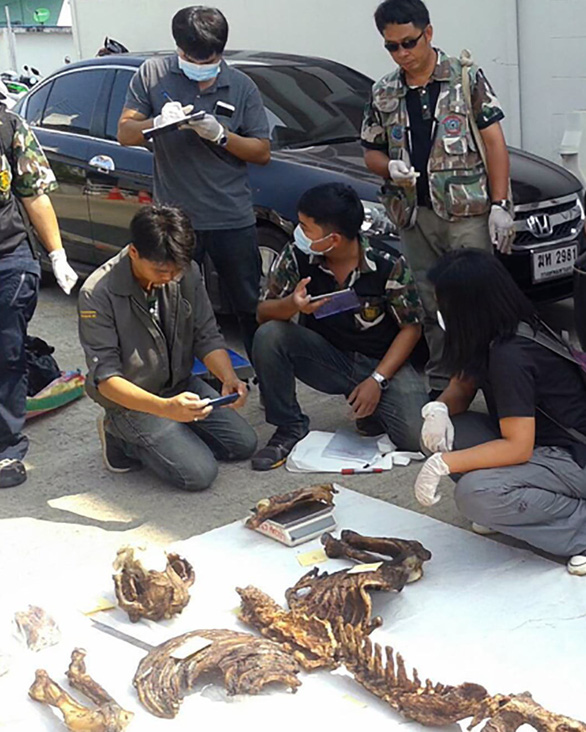 Thái Lan bắt  2 người Việt nghi săn trộm hổ quý - Ảnh 2.