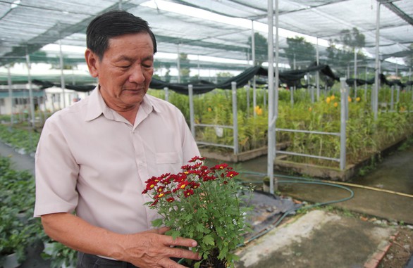 làng hoa sa đéc làng hoa sa đéc