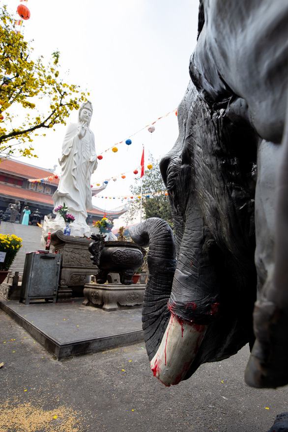 Tê giác, voi quỳ kêu cứu ở sân chùa Vĩnh Nghiêm, Minh Đăng Quang - Ảnh 3.
