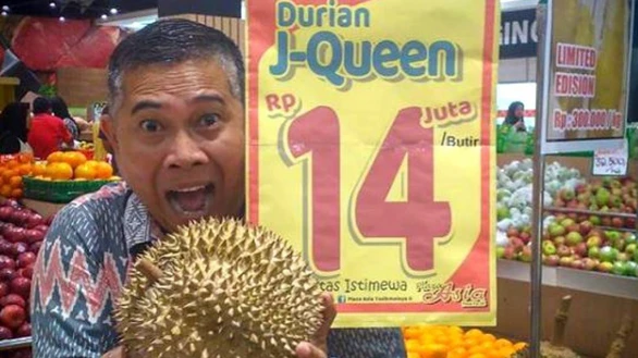 Sầu riêng Indonesia bán ngàn đô mỗi trái - Ảnh 1. Sầu riêng Indonesia bán ngàn đô mỗi trái - Ảnh 1.