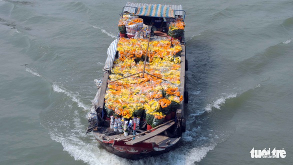 Thăng trầm làng hoa Sa Đéc - Kỳ 7: Thương hồ làng hoa - Ảnh 3. Thăng trầm làng hoa Sa Đéc - Kỳ 7: Thương hồ làng hoa - Ảnh 3.