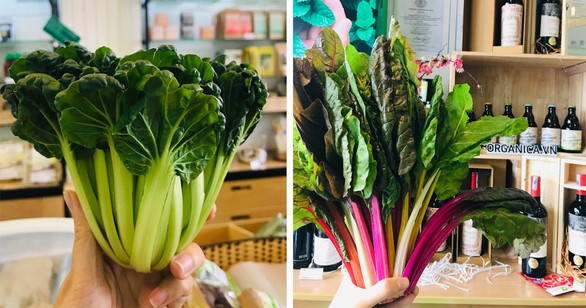 qua tet organic