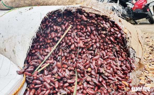 Nhiều tiểu thương chợ Vinh trắng tay sau đợt ngập lụt lịch sử - Ảnh 3. Nhiều tiểu thương chợ Vinh trắng tay sau đợt ngập lụt lịch sử - Ảnh 3.