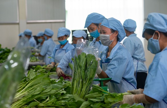 Nông thôn nhiều nơi nhiều rác quá, nhất là rác thải nhựa! - Ảnh 3. Nông thôn nhiều nơi nhiều rác quá, nhất là rác thải nhựa! - Ảnh 3.