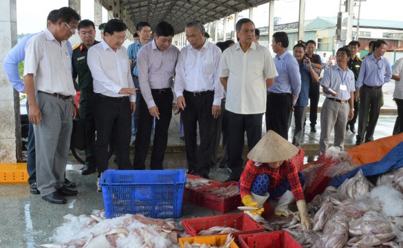 Nỗ lực gỡ thẻ vàng của EC đối với hải sản khai thác ở Việt Nam - Ảnh 1. Nỗ lực gỡ thẻ vàng của EC đối với hải sản khai thác ở Việt Nam - Ảnh 1.