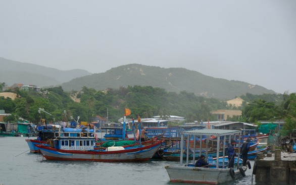 Người nuôi thủy sản trên vịnh Vân Phong hối hả bán cá chạy bão số 5 - Ảnh 3. Người nuôi thủy sản trên vịnh Vân Phong hối hả bán cá chạy bão số 5 - Ảnh 3.